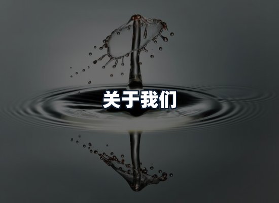 关于我们